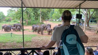 Frau lässt sich mit Elefanten im Hintergrund im Elephant Transit Home fotografieren – Sri Lanka Reise mit Kindern