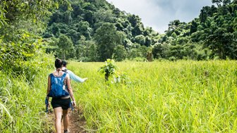 Eine Wanderin mit einem blauen Rucksack geht durch hohes, grünes Gras auf einem schmalen Pfad in der Natur.