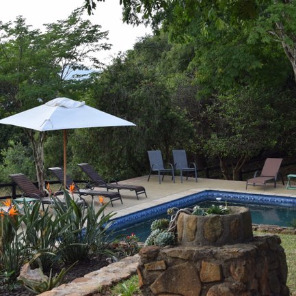 Ein einladender Garten mit einem Pool, Liegen und einem Sonnenschirm, umgeben von üppigem Grün und bunten Pflanzen.