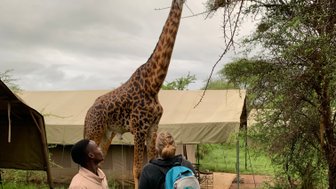 Neugierige Giraffe nähert sich einem Paar im Safari-Camp – Tansania Reise mit Kindern