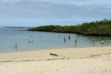 Ein sonniger Strand mit Menschen, die im Wasser spielen und schwimmen, umgeben von üppigem Grün und sanften Wellen.