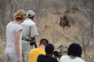 Eine Gruppe von Menschen beobachtet aufmerksam ein Nashorn in der afrikanischen Savanne, umgeben von trockenen Sträuchern.