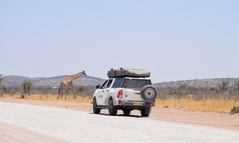 Ein Jeep mit Dachzelt steht vor einer Giraffe - Namibia Familienurlaub