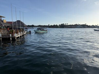 Eine ruhige Bucht mit glänzendem Wasser, Booten und Palmen, die im Hintergrund eine entspannte Atmosphäre schaffen.