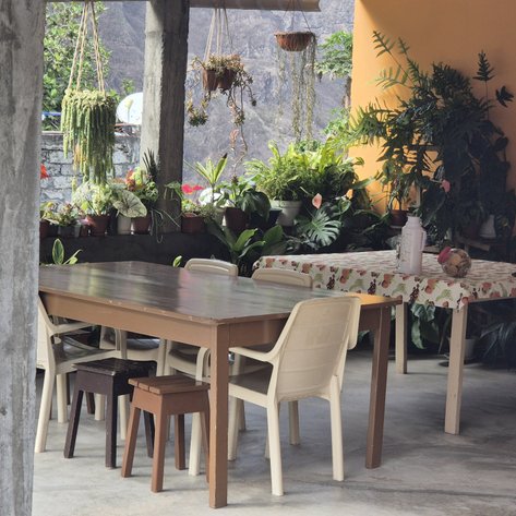 Ein helles, einladendes Esszimmer mit einem großen Holz-tisch und bunten Pflanzen, die für eine lebhafte Atmosphäre sorgen.