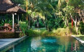 Ein ruhiger Pool umgeben von üppigem Grün und Palmen, ideal für Entspannung und Erholung in tropischer Umgebung.