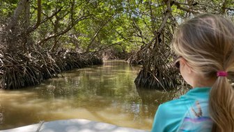 Mädchen genießt eine Bootstour durch das Mangrovengebiet von Celestún – Mexiko Familienreise