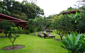 Costa Rica Familienreise mit Kindern - Monteverde - Arco Iris Lodge