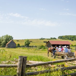 Eine Gruppe von Menschen sitzt auf einem Wagen, der von einem Pferd auf einer grünen Wiese gezogen wird, umgeben von ländlicher Idylle.