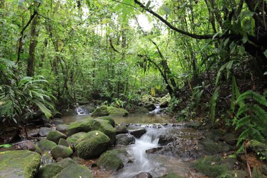 Natürlicher Wasserfall im Dschungel bei der La Tigra Rainforest Lodge – Costa Rica Reise mit Kindern