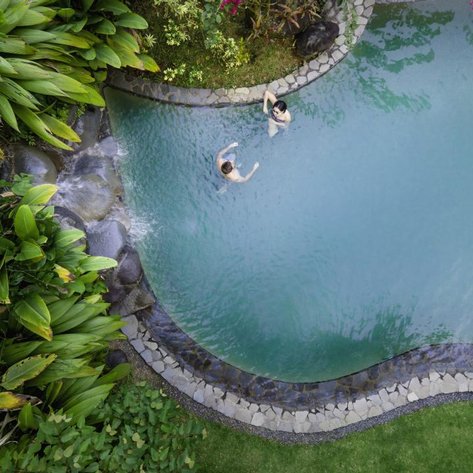 Zwei Personen genießen das kühle Wasser eines Pools, umgeben von üppiger Vegetation und bunten Blumen.