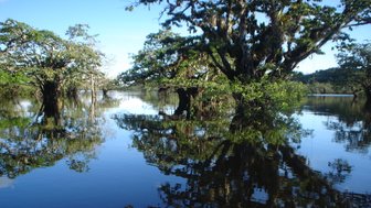 Ein ruhiger Wasserbereich mit üppigen Bäumen, deren Spiegelungen im klaren Wasser sichtbar sind, unter einem strahlend blauen Himmel.