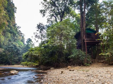 Ein Baumhaus steht hoch über einem kleinen Fluss, umgeben von üppigem, grünem Dschungel und sanften Hügeln im Hintergrund.
