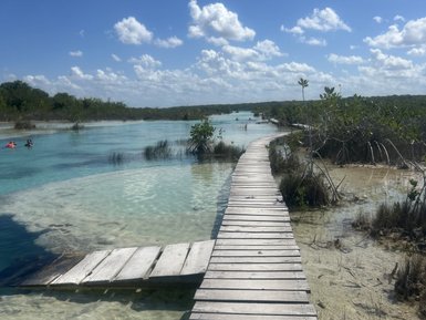 Ein Holzsteg führt über das klare Wasser einer Lagune, umgeben von üppigem Grün und einem strahlend blauen Himmel.