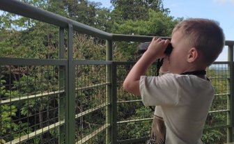 Kind blickt durch ein Fernglas und entdeckt die grüne Natur im Sepilok Rainforest Discovery Centre – Malaysia & Borneo Reise mit Kindern