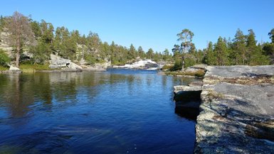 Ein ruhiger Fluss fließt durch eine bewaldete Landschaft, umgeben von hohen Bäumen und glatten Felsen unter klarem Himmel.