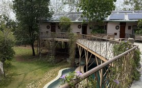 Ein Blick auf ein modernes Campzimmer im Dschungel, umgeben von üppigem Grün und einem kleinen Pool.