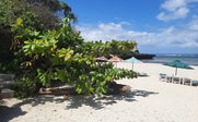 Ein sonniger Strand mit sanften Wellen, umgeben von üppigem Grün und bunten Sonnenschirmen, die Schatten spenden.