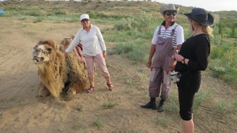 Eine Frau steht neben einem Kamel, während sie mit einem Mann und einer anderen Frau in der Wüste spricht.