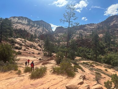 Drei Wanderer erkunden die malerische Landschaft des Zion Nationalparks, umgeben von majestätischen Felsen und Bäumen.
