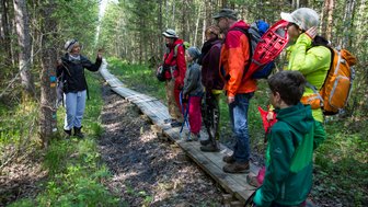 Eine Gruppe steht auf einem Steg im Moor und hört sich aufmerksam die Erklärung an.