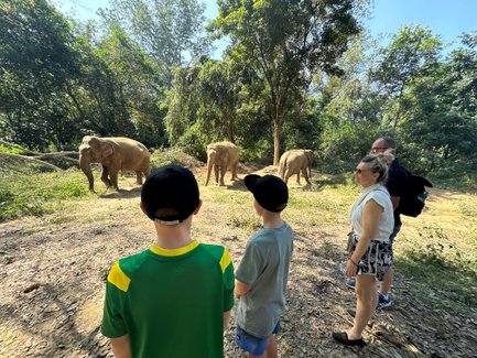 Begeisterte Familie schaut Elefanten in ihrer natürlichen Umgebung zu – Thailand mit Kindern