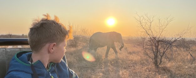 Kind sitzt im Safari-Jeep bei Sonnenuntergang und blickt auf einen Elefanten im Hintergrund – Südafrika Reise mit Kindern