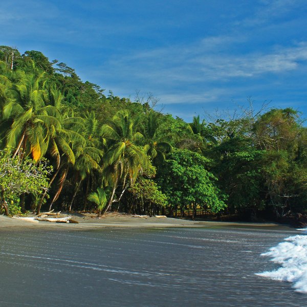 Brandung mit starken Wellen an einem Strand in Costa Rica – Costa Rica Familienreise