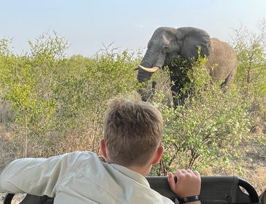 Ein Junge schaut aus dem Safari-Jeep auf einen Elefanten im Kruger-Nationalpark – Südafrika mit Kindern entdecken