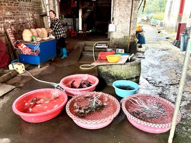 Eine Frau in Gummistiefeln steht an einem Tisch mit Töpfen und verkauft frische Fische in bunten Schalen.
