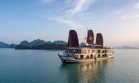 Ein elegantes Kreuzfahrtschiff mit braunen Segeln gleitet sanft über das ruhige Wasser der Halong-Bucht, umgeben von grünen Inseln.