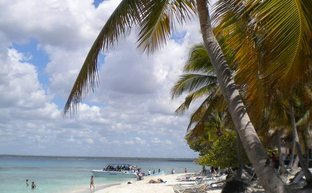 Ein sonniger Strand in der Dominikanischen Republik mit Palmen, feinem Sand und Menschen, die im Wasser entspannen.