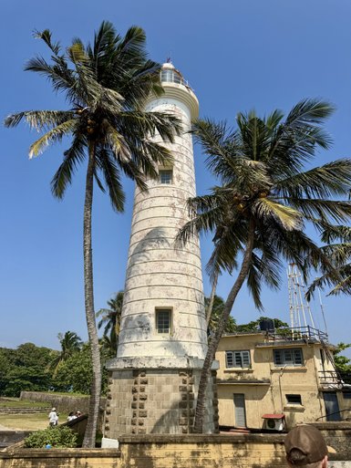 Ein hoher Leuchtturm steht majestätisch zwischen Palmen unter einem strahlend blauen Himmel, umgeben von üppigem Grün.
