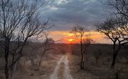 Ein malerischer Sonnenuntergang über einem staubigen Weg, umgeben von kahlen Bäumen und einer ruhigen, natürlichen Landschaft.