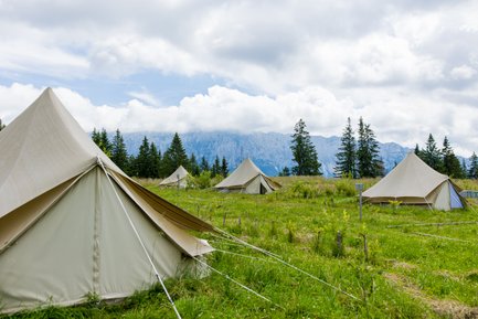 Eine Gruppe von Zelten steht auf einer grünen Wiese, umgeben von hohen Bäumen und majestätischen Bergen im Hintergrund.