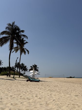 Ein ruhiger Strand in Goa mit feinem, hellem Sand und hohen Palmen, die sanft im Wind wiegen.
