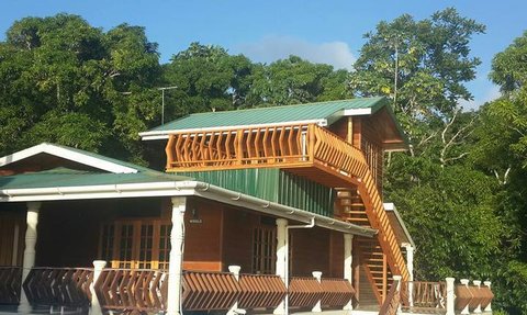Ein charmantes Holzhaus mit einem grünen Dach, umgeben von üppigem, grünem Wald und strahlend blauem Himmel.