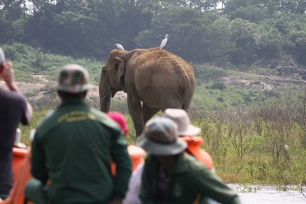 Familie im Safari-Jeep beobachtet einen Elefanten in der Natur – Sri Lanka mit Kindern