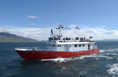 Ein rotes Boot mit vielen Passagieren fährt auf dem Wasser, während die Berge im Hintergrund sichtbar sind.