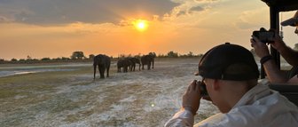 Eine Gruppe von Elefanten wandert majestätisch in der Abenddämmerung, während Touristen sie aus einem Jeep beobachten.