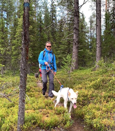 Ein Wanderer in blauer Jacke führt einen Husky auf einem schmalen Pfad durch einen grünen Wald voller Bäume.