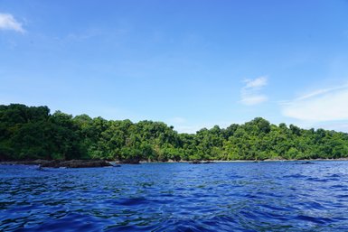 Schnorcheltour rund um die Isla del Caño – Costa Rica mit Kindern