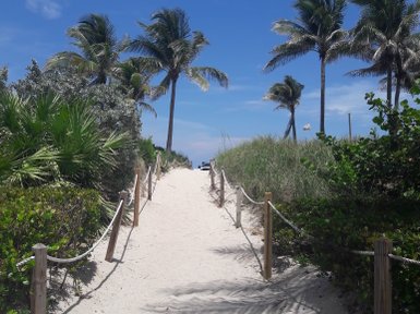Ein schmaler Sandweg führt durch üppige Vegetation zu einem sonnigen Strand unter einem strahlend blauen Himmel.