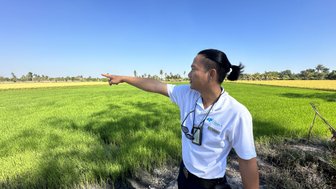 Einheimischer und Reiseleiter Thana zeigt auf Reisefeld - Thailand Familienreise