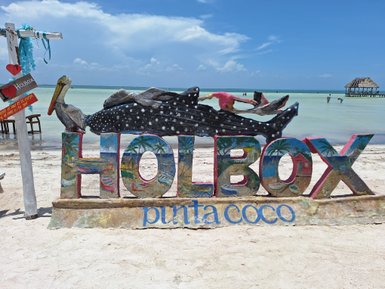 Bunte Holzskulptur mit dem Schriftzug 'HOLBOX' und einem Pelikan, vor einem klaren Wasserhorizont und einem blauen Himmel.