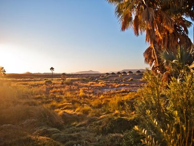 Die goldene Abendsonne beleuchtet eine weite Landschaft mit Palmen und sanften Hügeln im Hintergrund.