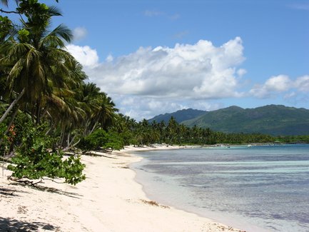 Ein malerischer Strand mit feinem, hellem Sand, umgeben von üppigen Palmen und klarem, türkisfarbenem Wasser.