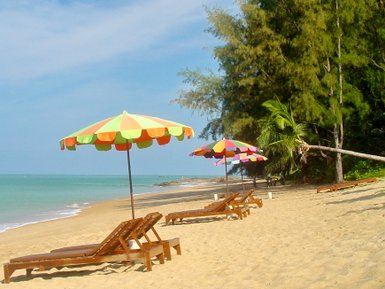 Bunte Sonnenschirme stehen über Liegen an einem ruhigen Strand, umgeben von sanften Wellen und grünen Bäumen.