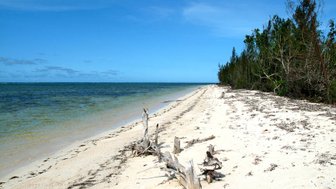 Ein ruhiger Sandstrand erstreckt sich entlang des klaren Wassers, umgeben von üppigem Grün und einem strahlend blauen Himmel.