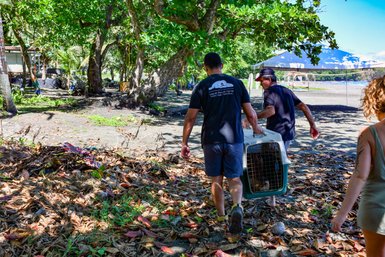 Tier sicher in einer Transportbox im Jaguar Rescue Center bei Puerto Viejo de Talamanca – Costa Rica Reise mit Kindern
